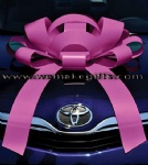magnetic car bow